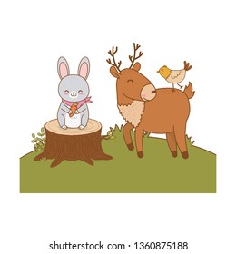 cute animals in the field woodland characters