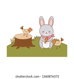 cute animals in the field woodland characters