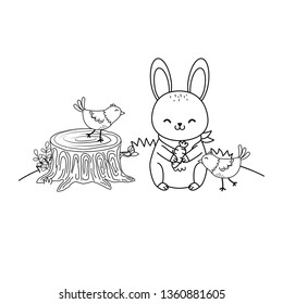 cute animals in the field woodland characters