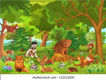 cute animals in the forest