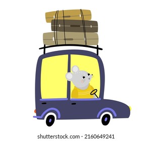 Cute animals in funny colored cars. Animal driver, happy pets in car kid. Transportation savannah animals. Isolated vector cartoon illustration icons set