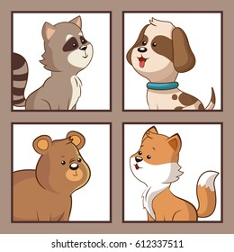 cute animals funny image