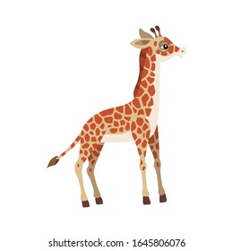 Cute animals - giraffe. Illustrations for children. Baby Shower card. Cartoon character isolated on white background. African animal wildlife