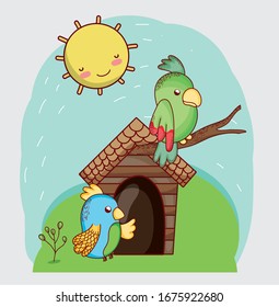 cute animals, green and blue parrots in branch house cartoon vector illustration