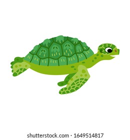 Cute animals - green sea turtle. Illustrations for children. Baby Shower card. Cartoon character tortoise isolated on white background. Oceania and Australia animals. New zealand wildlife