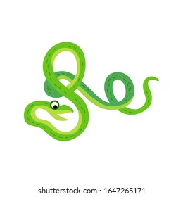 Cute animals - green vine snake. Illustrations for children. Baby Shower card. Cartoon character reptilia isolated on white background. South America animal wildlife