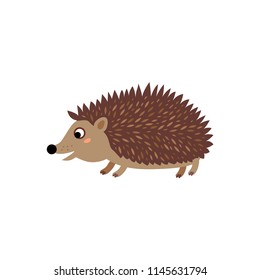 Cute animals - hedgehog. Illustrations for children. Baby Shower card. Cartoon character rodent isolated on white background. Africa, Europe and Asia animal wildlife