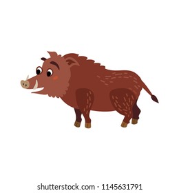 Cute animals - hog. Illustrations for children. Baby Shower card. Cartoon character boar isolated on white background. North America, Europe and Asia animal wildlife