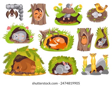 Cute animals in holes. Cartoon nature creatures sleep in burrows. Owl in hollow tree. Gophers and bears dream in dens. Fauna characters. Forest mammals. Birds nest