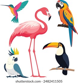 Cute animals in the jungle. Vector illustration in flat style. Birds of Amazonian forests in flat design illustration. Colorful Ara, parrot, hummingbird, flamingo, toucan for icons, posters, books