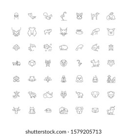 Cute animals linear icons, signs, symbols vector line illustration set