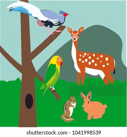 Cute animals in nature