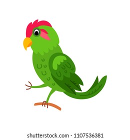 Cute animals - New Zealand parakeet parrot. Illustrations for children. Baby Shower card. Cartoon character kakariki bird isolated on white background. Tropical animal wildlife