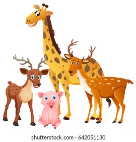 Cute animals on white background illustration