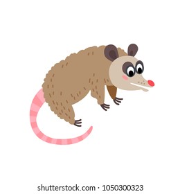 Cute animals - opossum. Illustrations for children. Baby Shower card. Cartoon character rodent isolated on white background. South America animal wildlife