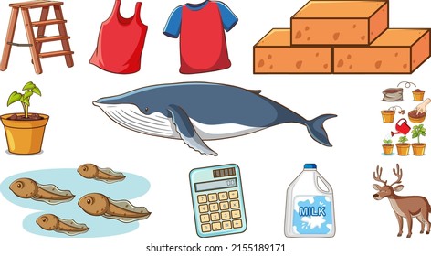 Cute animals and other items on white background illustration