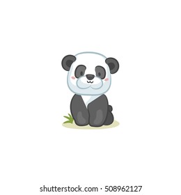 Cute Animals - Panda