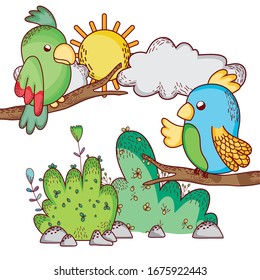 cute animals, parrots in branches tree foliage sun cloud cartoon vector illustration