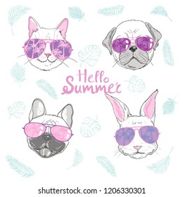 Cute animals. Pets face, dog cat and rabbit