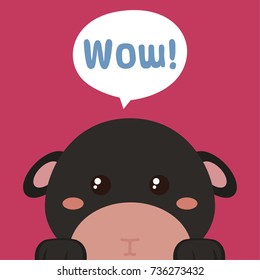 Cute animals poster, template, cards, cats. Vector illustration