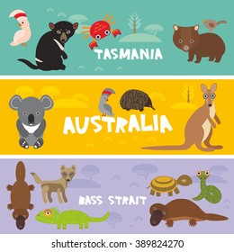 Cute animals set, Echidna koala Platypus Tasmanian devil Cockatoo parrot Wombat snake crab turtle kangaroo dingo kids background Australia, Tasmania Australian animals bright colorful banner. Vector