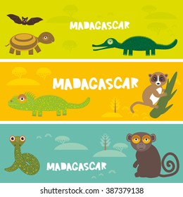 Cute animals set Turtle bat crocodile chameleon snake lemur, kids background African animals, Africa Madagascar bright colorful banner. Vector