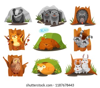 Cute animals sitting in burrows and hollows set, badger, wolves cubs, hedgehog, squirrel, bear cub, raccoon, owlet, fox, hares inside their homes vector Illustration