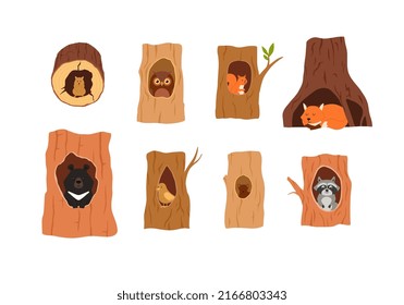 Animales cortos sentados dentro del hueco del árbol, nido o maduración - ilustración vectorial plana aislada sobre fondo blanco. Conjunto de habitantes forestales silvestres - hámster, zorro, oso, ardilla y mapache.