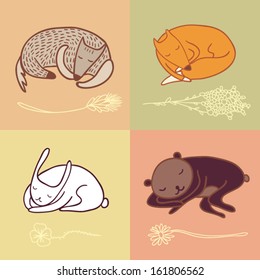 cute animals sleep
