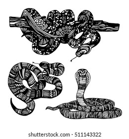 Cute Animals Snake. Cute funny snake. T-shirt Typography Graphics, Illustration.