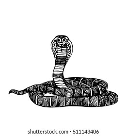 Cute Animals Snake. Cute funny snake. T-shirt Typography Graphics, Illustration.