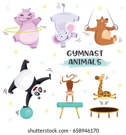 Cute animals in sport gymnastic positions. Sportsman flat icons isolated on white background. Kids illustration