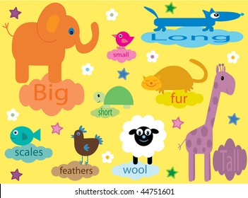 cute animals teaching about differences