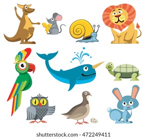 Cute animals vector set in cartoon style. Turtle and snail, kangaroos and parrot illustration