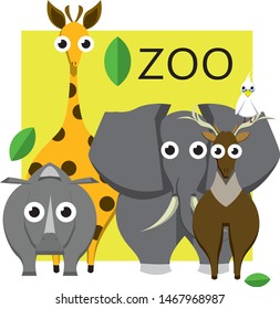 
Cute animals in the zoo