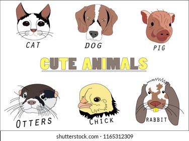 cute animals,lots of pet.