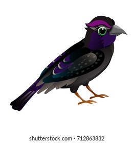 Cute animated bird isolated on white background. Vector cartoon close-up illustration.