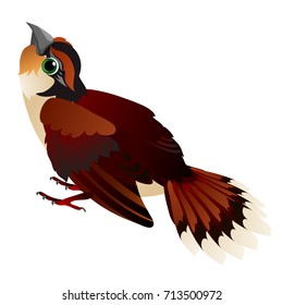 Cute animated bird isolated on white background. Vector cartoon close-up illustration.