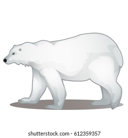 65 Animated polar bear Images, Stock Photos & Vectors | Shutterstock