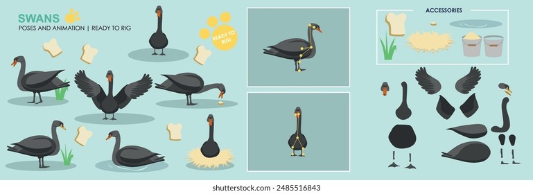 Lindo Vector animado cisne colección listo para animar con múltiples poses y posiciones de equipo listo para el conjunto, animales, naturaleza. 