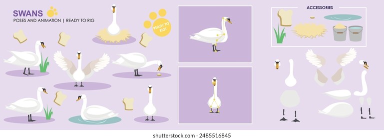 Lindo Vector animado cisne colección listo para animar con múltiples poses y posiciones de equipo listo para el conjunto, animales, naturaleza. 