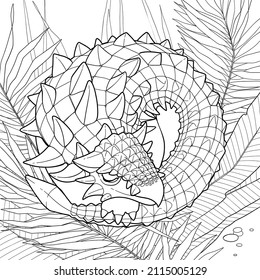 Cute ankylosaurus sleeps curled up in a nest of leaves. Prehistoric world of dinosaurs. Vector line graphics for coloring books