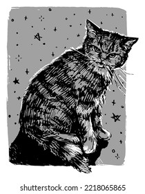 Cute annoyed cat. Domestic pet animal on background of stars. Monochrome hand drawn vector illustration. Graphic picture isolated on white. Artistic print in vintage engraving style..
