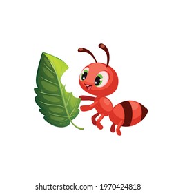 Cute ant eating green leaf cartoon vector on a white background