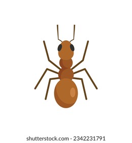 Cute ant icon. Flat illustration of Cute ant vector icon for web design isolated