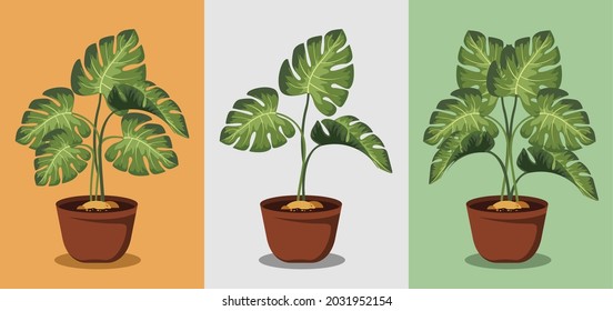 Cute Anthurium crystallinum (Green Leaf) Flat Illustration For Sticker, Background, Icon, Education, Greeting Cards
