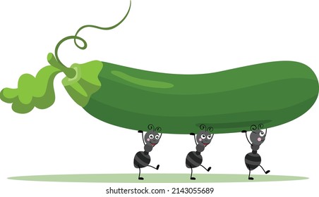 Cute Ants Carrying A Fresh Green Courgette
