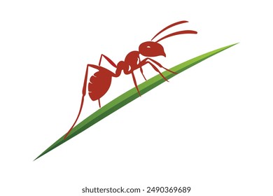 cute ants on leaf white background vector illustration.eps