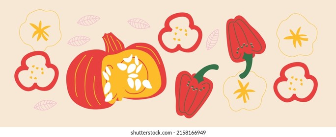 Cute appetizing Vegetables collection. Decorative abstract horizontal banner with colorful doodles. Hand-drawn modern illustrations with Vegetables, abstract elements. 