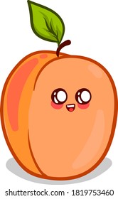 Cute apricot, illustration, vector on white background